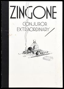 Zigone Advertisement