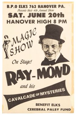 Ray-Mond and His Cavalcade of Mysteries Poster