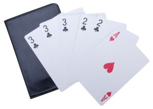 Michael Skinner's Ultimate 3 Card Monte